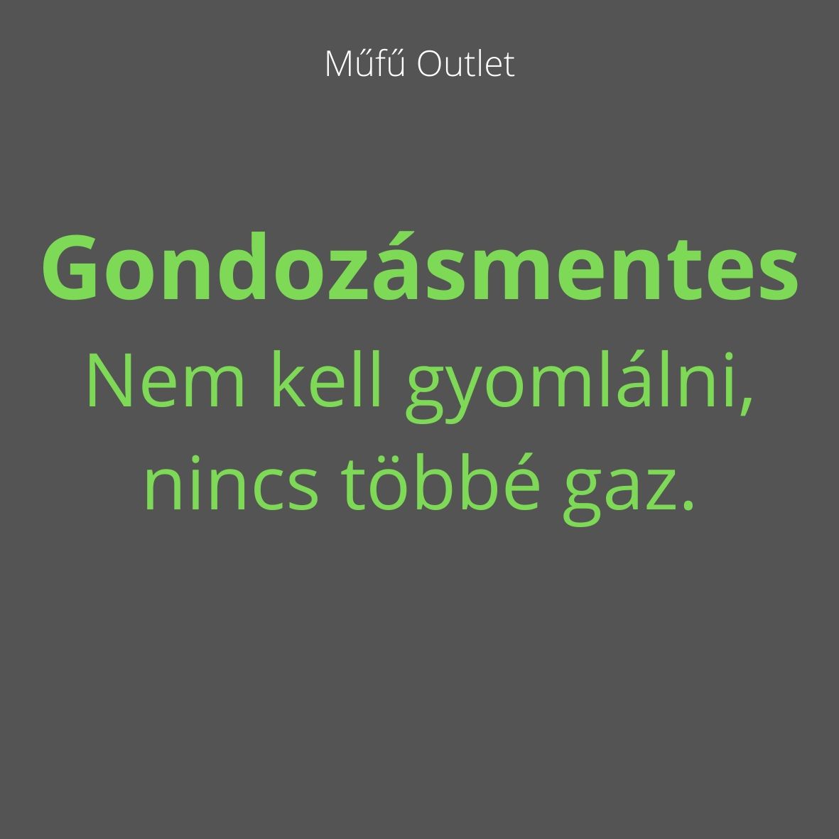 gondozásmentes pázsit