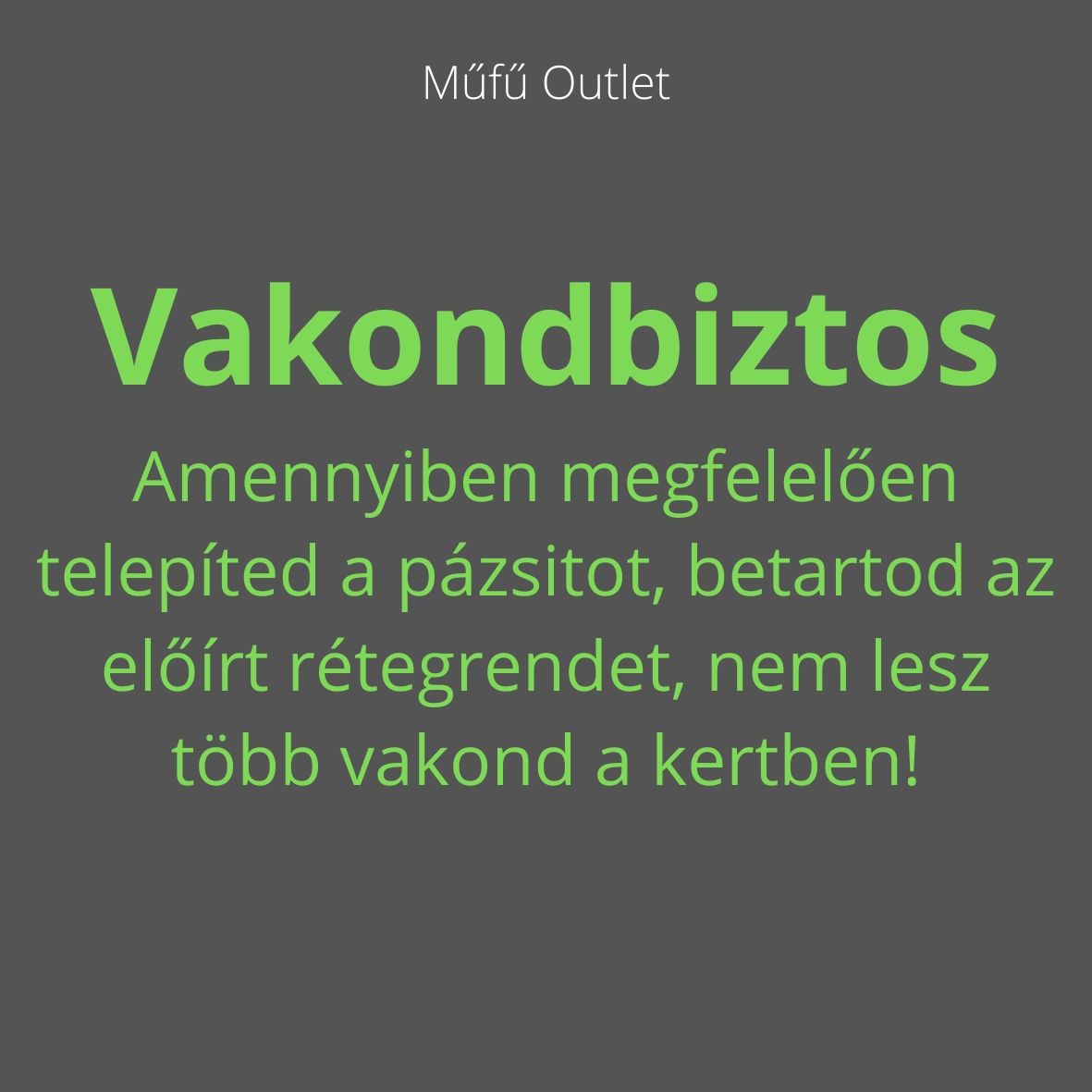 holland pázsit ár