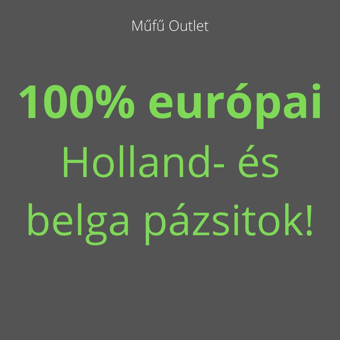 holland pázsit olcsón belga pázsit grassland műfű