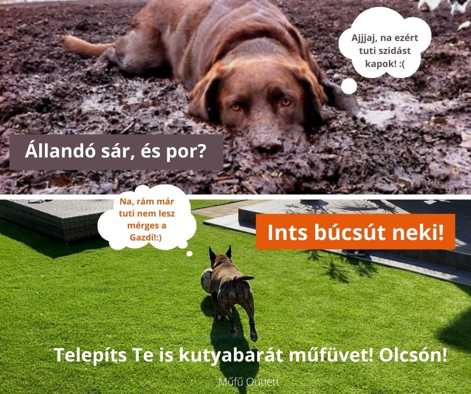 Műfű Outlet - Kutyabarát műfű, Holland műfű olcsón, prémium pázsit saras kert műfű kertbe gondozásmentes műfű